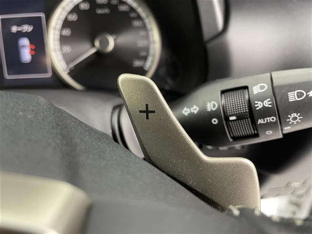 Lexus NX 12