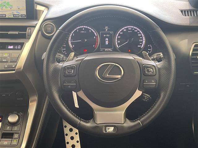 Lexus NX 11