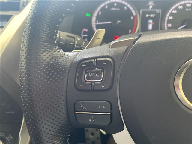 Lexus NX 12