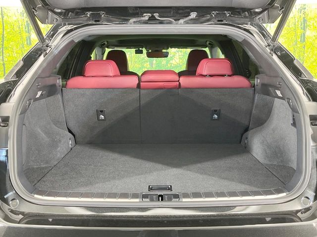 Lexus RX 10