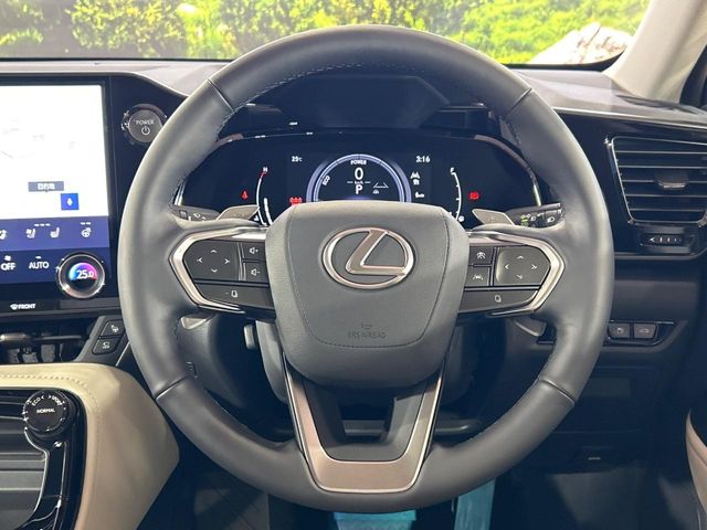 Lexus NX 11