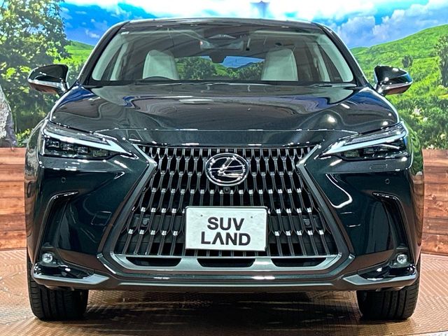 Lexus NX 12