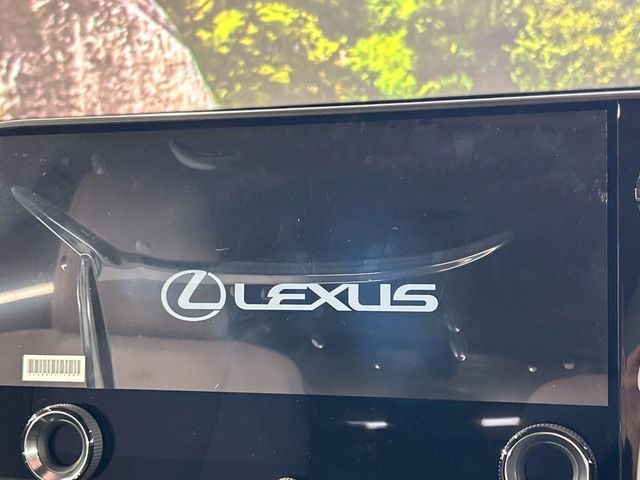 Lexus NX 4