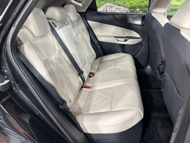 Lexus NX 9
