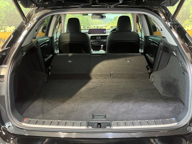 Lexus RX 10