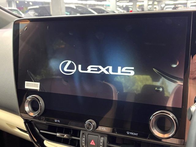 Lexus NX 4