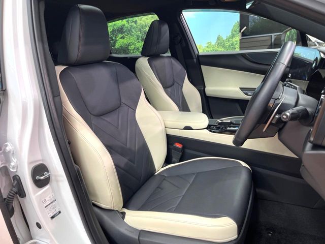 Lexus NX 10