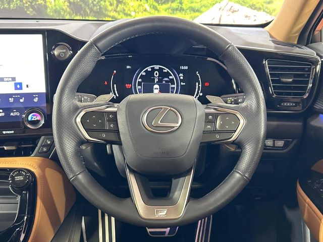 Lexus NX 11