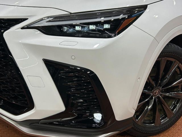 Lexus NX 12