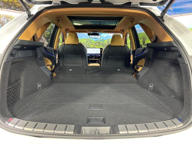 Lexus NX 10