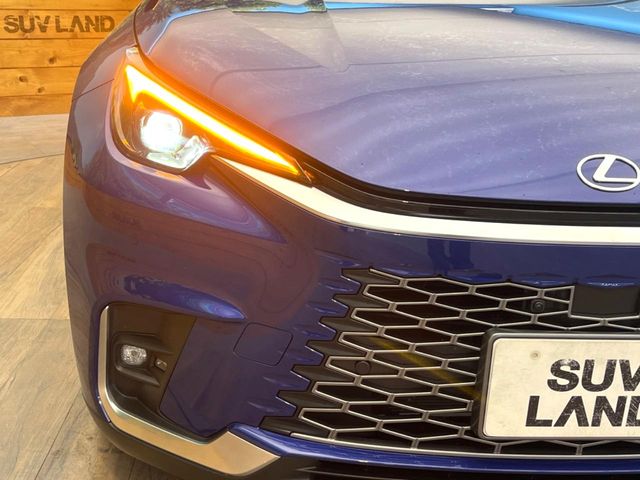 Lexus LBX 12
