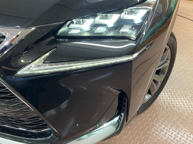 Lexus NX 12