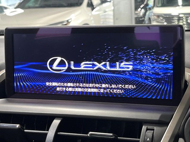 Lexus NX 4