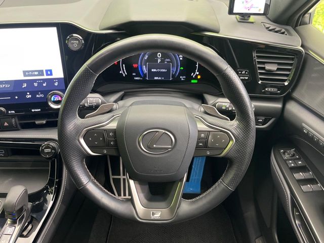 Lexus NX 11
