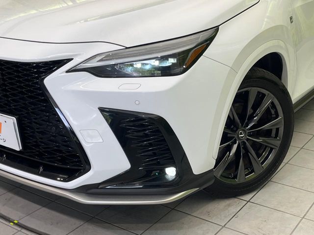 Lexus NX 12