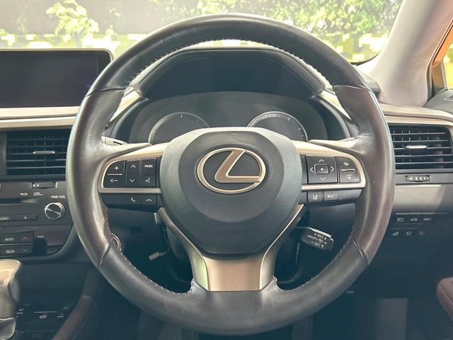 Lexus RX 11