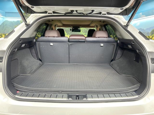 Lexus RX 10