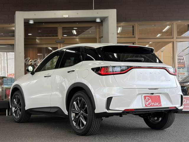 Lexus LBX 9