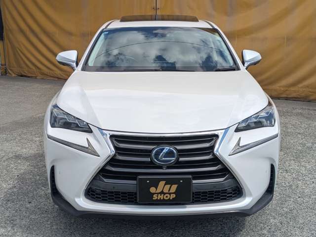 Lexus NX 7