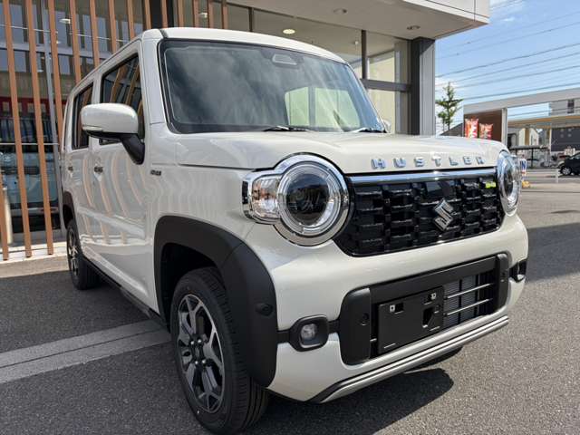 Suzuki Hustler 11