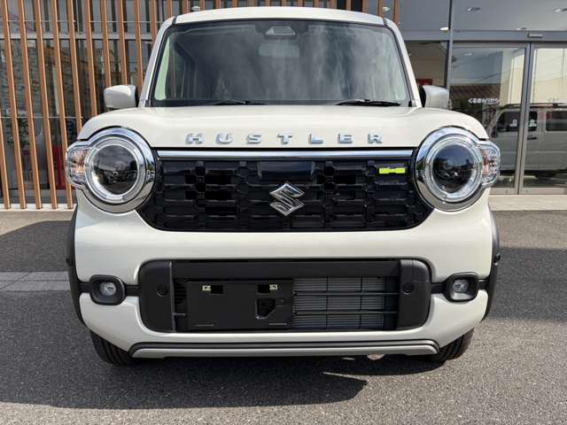 Suzuki Hustler 10