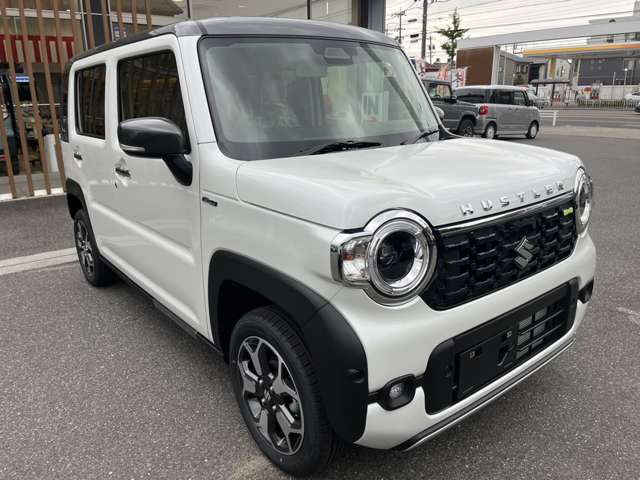 Suzuki Hustler 11