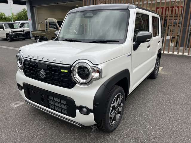 Suzuki Hustler 9