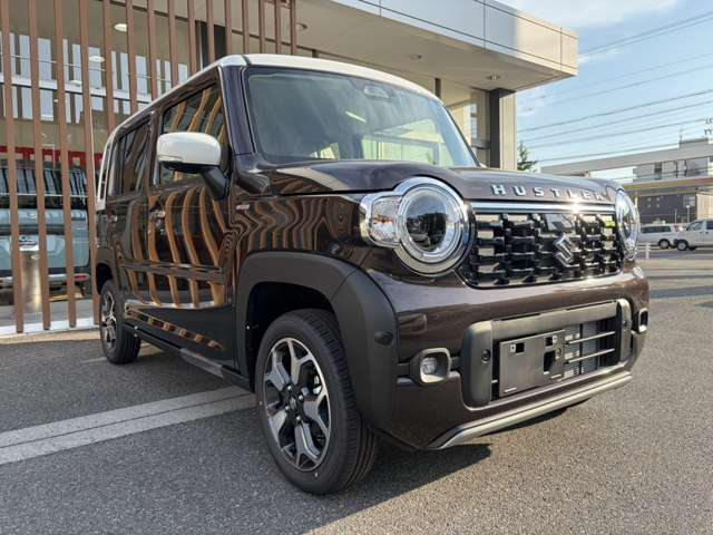 Suzuki Hustler 11