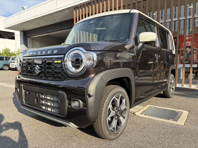 Suzuki Hustler 9