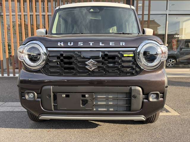 Suzuki Hustler 10