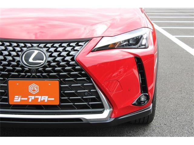 Lexus UX 11