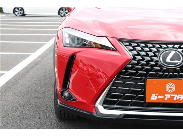 Lexus UX 10