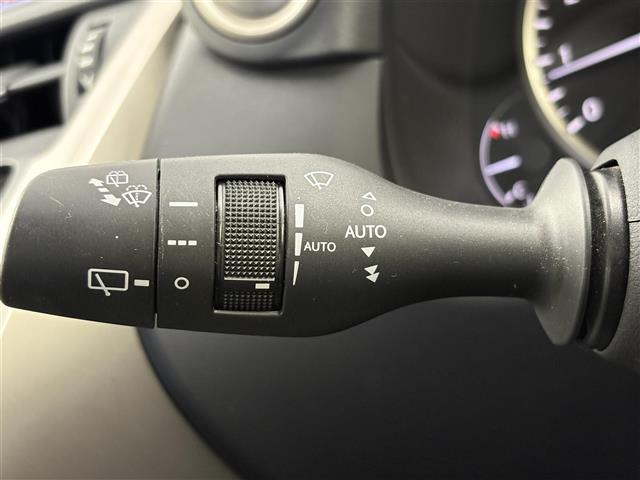 Lexus NX 11