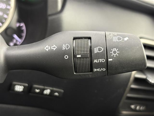 Lexus NX 12