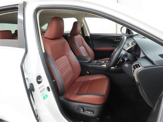 Lexus NX 12