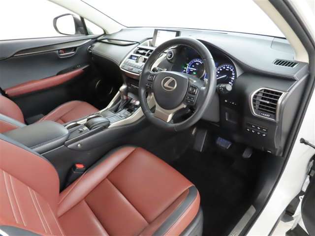 Lexus NX 10