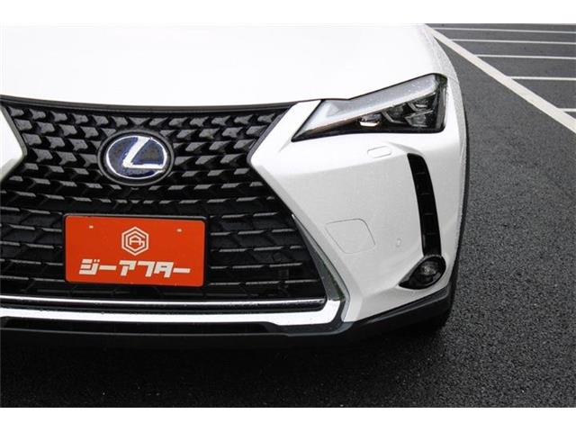 Lexus UX 11