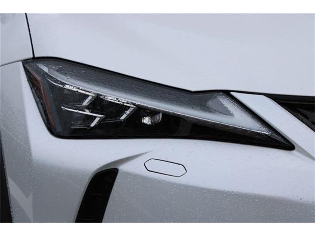 Lexus UX 12