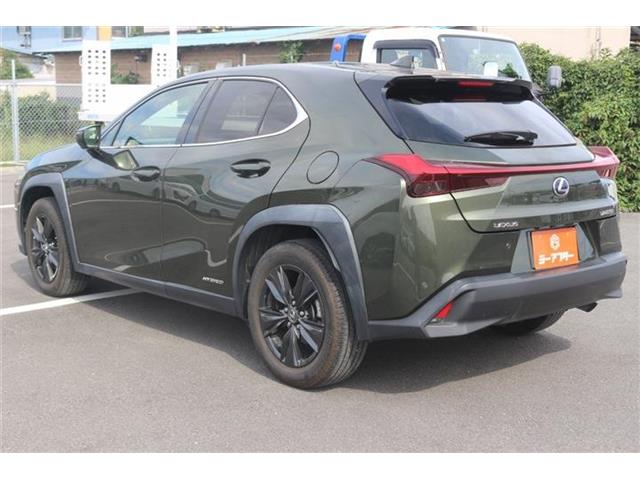 Lexus UX 12