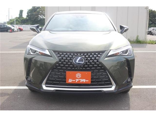 Lexus UX 9