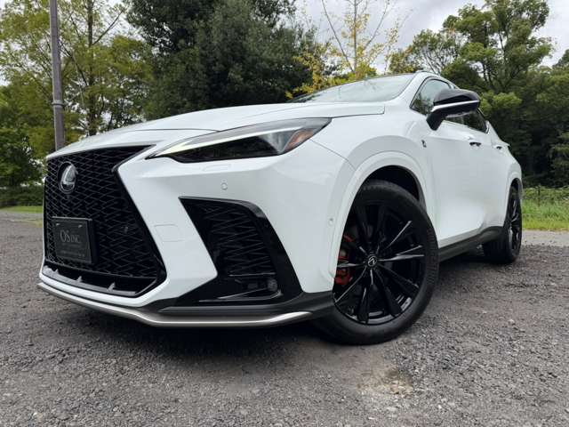 Lexus NX 11
