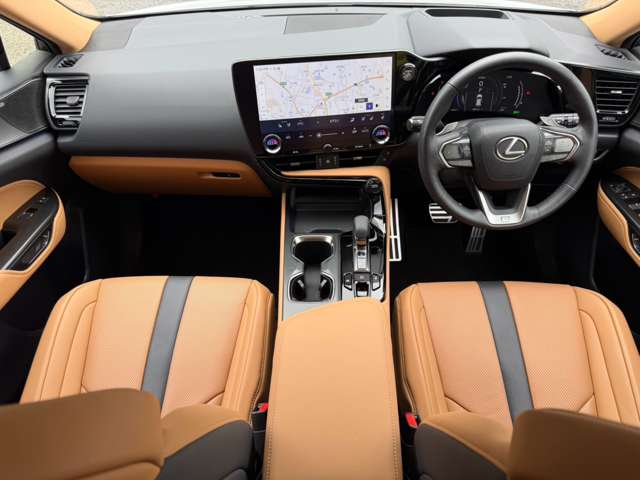 Lexus NX 4