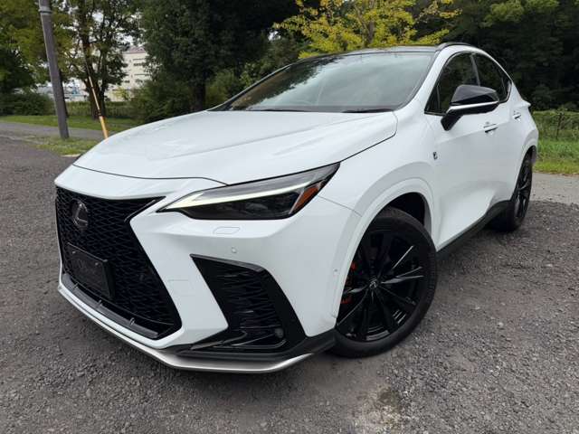 Lexus NX 10
