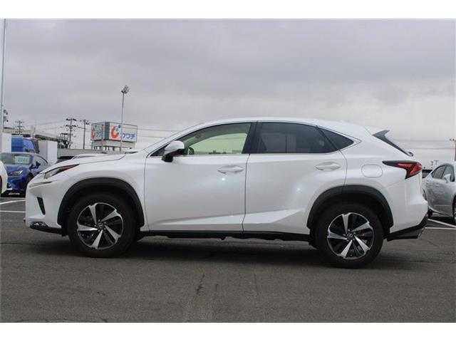 Lexus NX 11