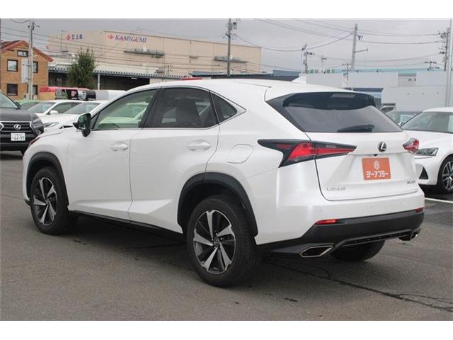 Lexus NX 12