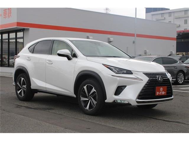 Lexus NX 8