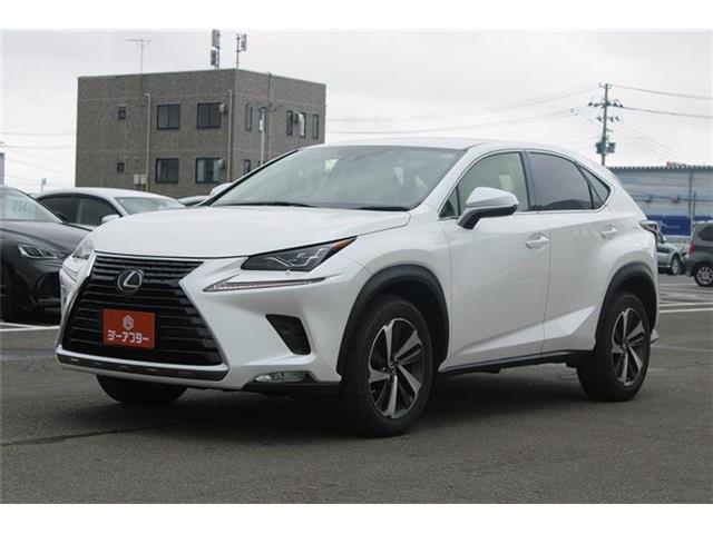 Lexus NX 10
