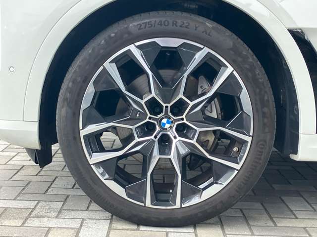 BMW X7 10