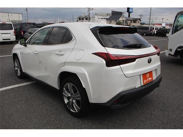 Lexus UX 12