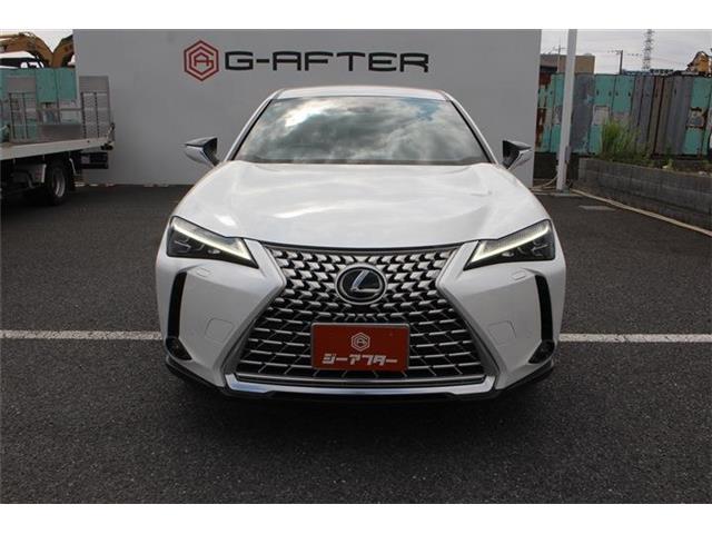 Lexus UX 9